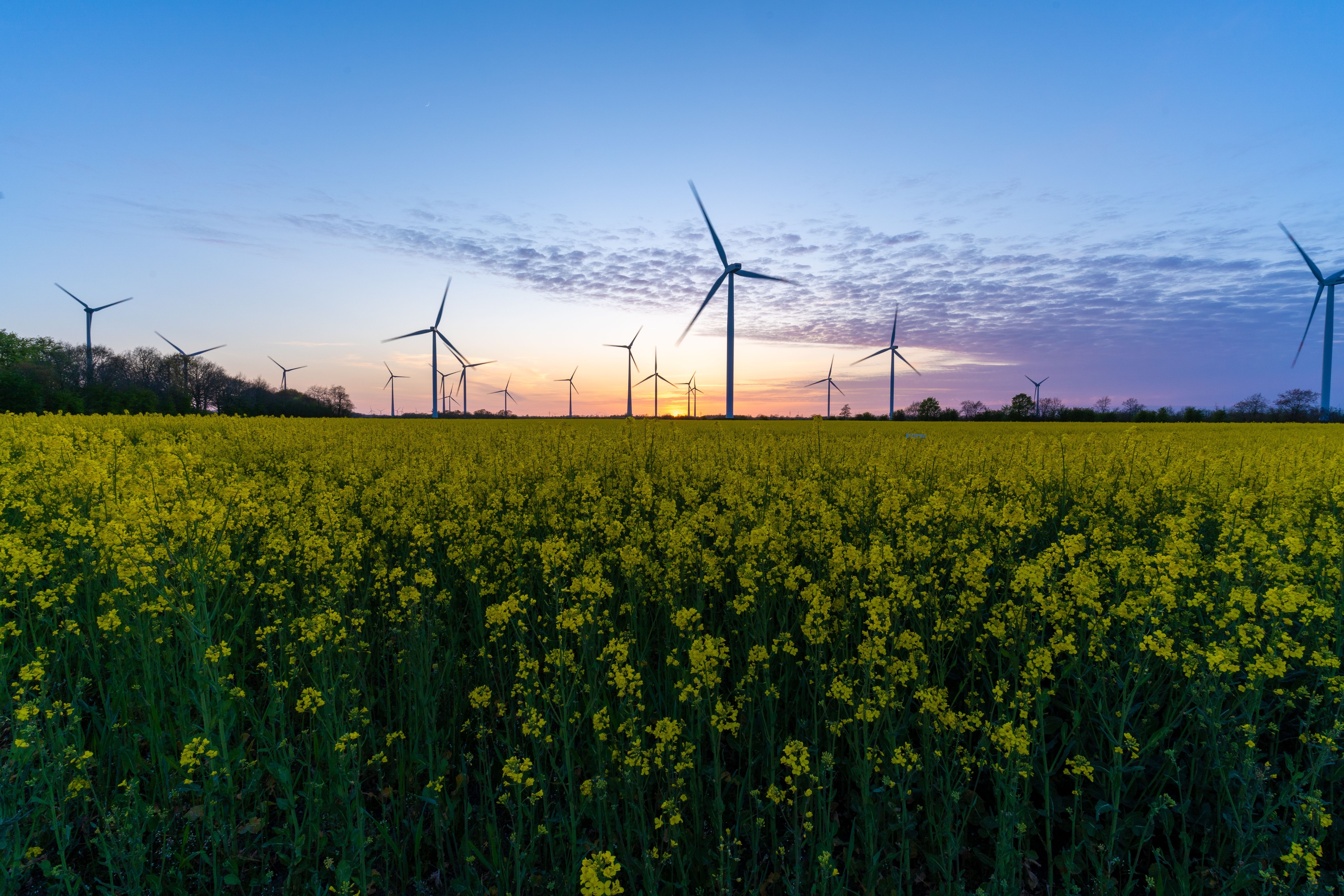 Refrigerant recycling